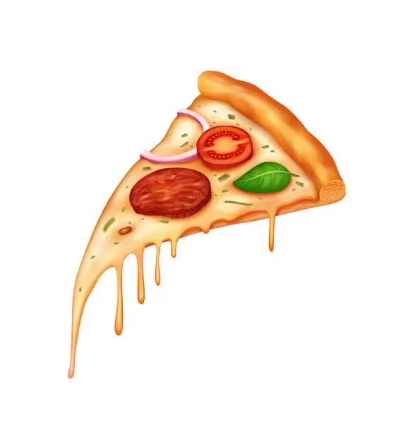 Vector illustration of Slice of Pizza with Salami, Tomatoes, Basil and Onions