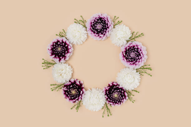 istock Wreath made of dahlia on a beige background. 1303840886