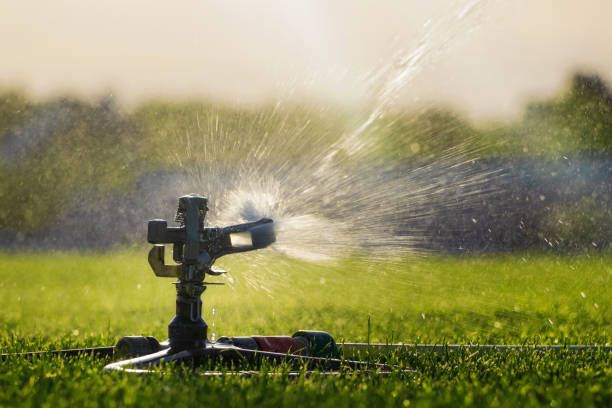 istock Automatic sprinkler system watering the lawn with green grass. 1303842238