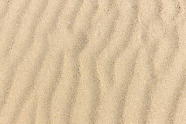 istock Sand texture. Sandy beach for background. Top view. Natural sand stone texture background. sand on the beach as background. Wavy sand background for summer designs. 1303845093