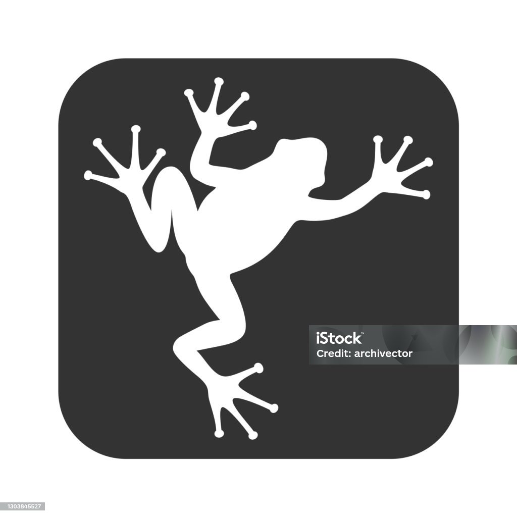Tree frog Frog graphic icon. Frog sign in the square isolated on white background. Vector illustration Abstract stock vector