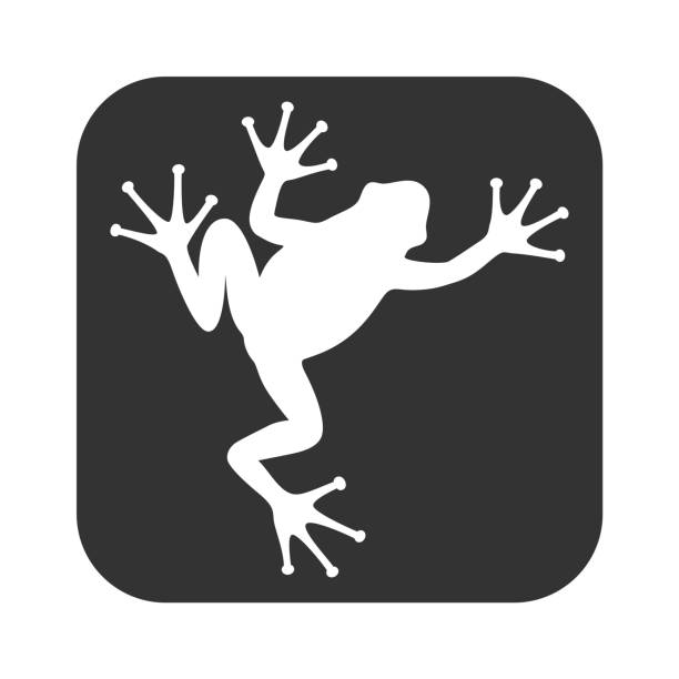 Tree frog Frog graphic icon. Frog sign in the square isolated on white background. Vector illustration cartoon of a frog black and white stock illustrations