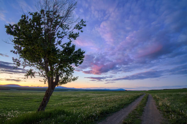 Colorful and magical sunset over the field, Quebec, Canada