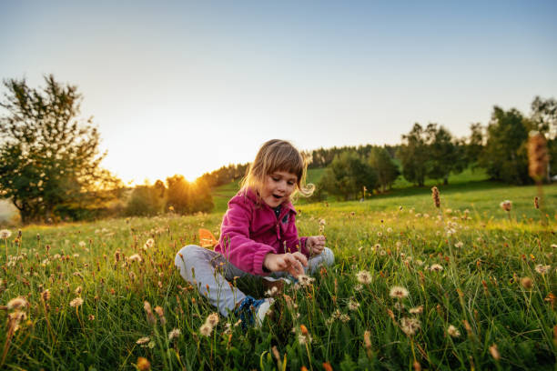 Girl playing in the nature and picking up flowers Beautiful landscapes South East Europe, Durmitor mountain in Montenegro durmitor national park photos stock pictures, royalty-free photos & images