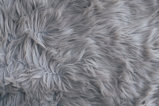 Gray fur background. Mother's day or Valentine's day concept. Minimal background.
