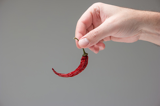 Sun dried whole red hot chili pepper held in hand by Caucasian male hand studio shot isolated on white.