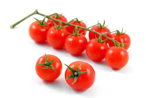 Red fresh vine tomatoes isolated on white background