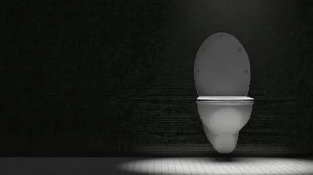 Toilet bowl in the restroom. Dramatic lighting. Copy space