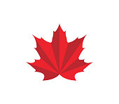 Maple Leaf icon, Vector illustration design Logo template