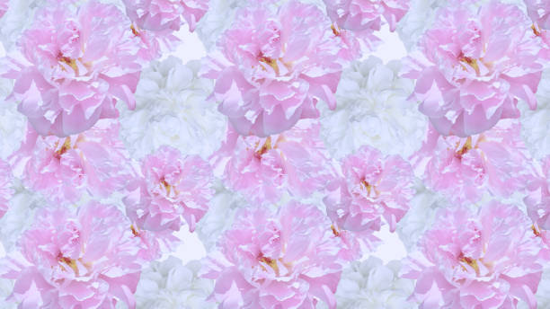 istock Beautiful repeating pattern of pink and white peonies. 1303859223