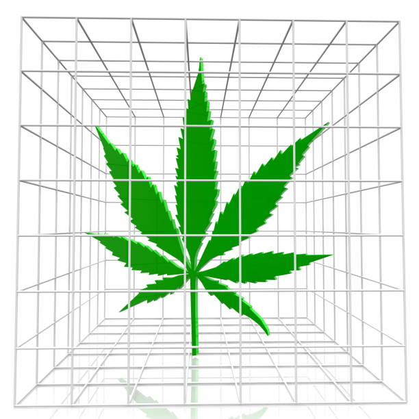 Concept of cage with cannabis leaf
