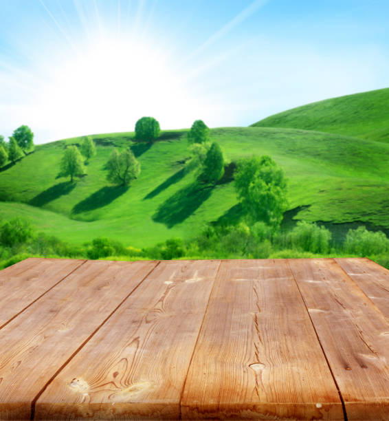 istock summer background with wooden planks 1303862566