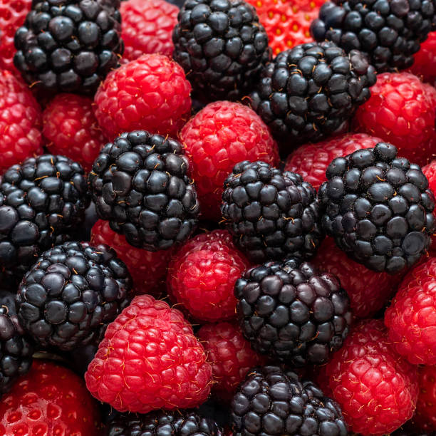 istock Raspberries and blackberries close-up. Berry background. Top view, flat lay. Berries pattern. 1303862965