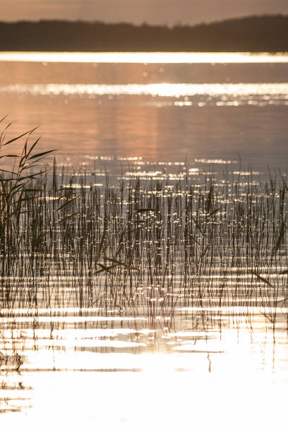 istock Lake Alauksts in summer evening 1303863275