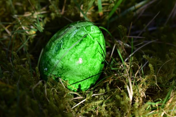 istock Green colored easteregg in the mossy grass 1303864285