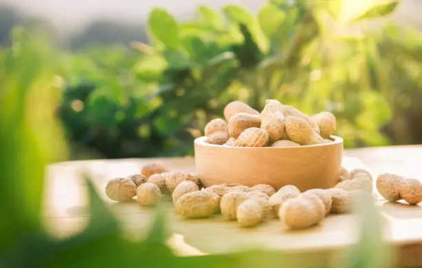 Photo of dried peanuts in wooden bowl on table