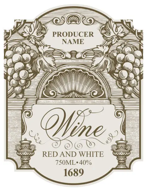 Vector illustration of hand drawn wine label with bunches of grapes