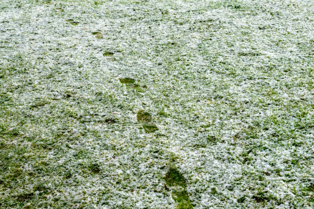 Footsteps in the snow on Castle Hill, Huntingdon, UK.