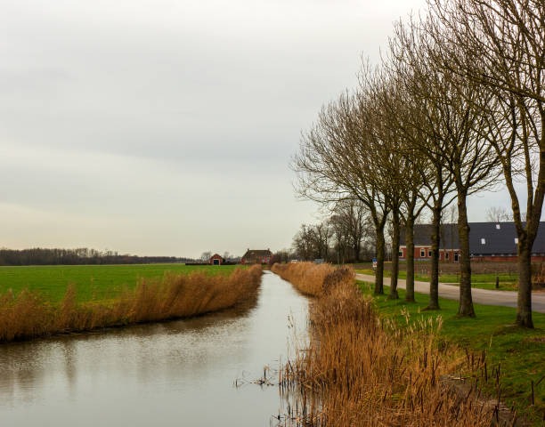 istock Scenery at Huizinge near Groningen, Netherlands 1303870248
