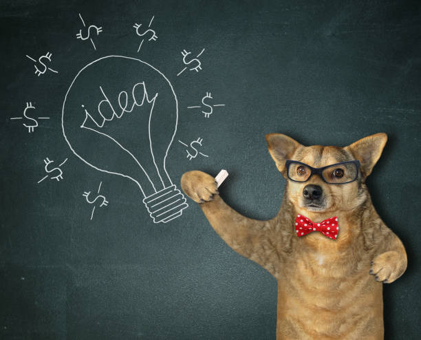 istock Dog beige draws light bulb 1303871453