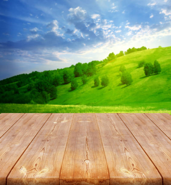 istock summer background with wooden planks 1303873079