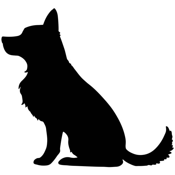 ilustraciones, imágenes clip art, dibujos animados e iconos de stock de pastor alemán silueta sentada - dog