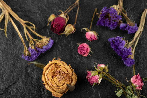istock Dried colorful flowers on a black background 1303874318