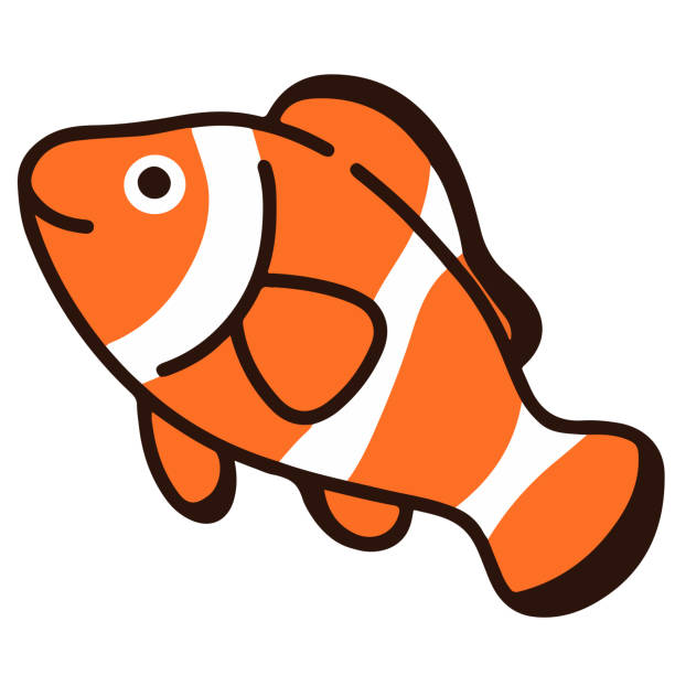 ilustrações, clipart, desenhos animados e ícones de peixe-palhaço fofo e simples com contornos - tropical fish clown fish isolated animal