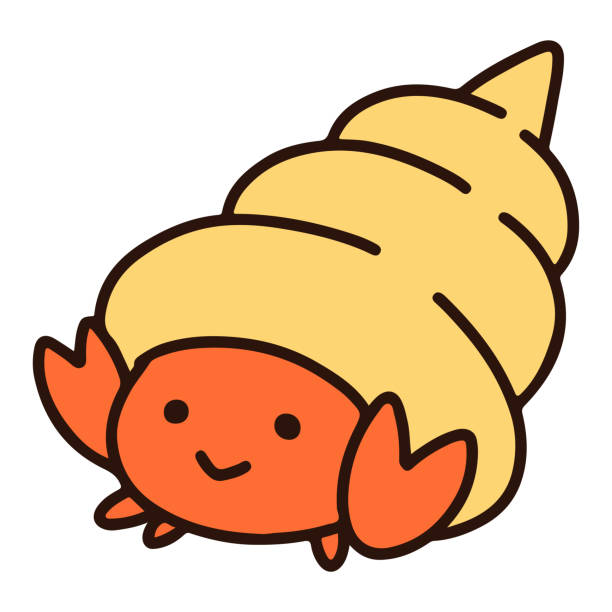 Hermit Crab Stock Clipart Royalty Free Freeimages