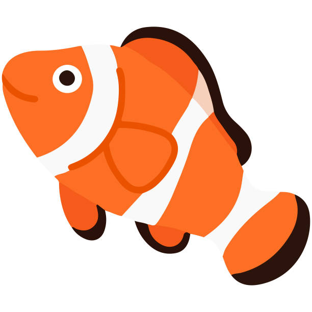 süße flache farbe orange clownfisch - anemonenfisch stock-grafiken, -clipart, -cartoons und -symbole