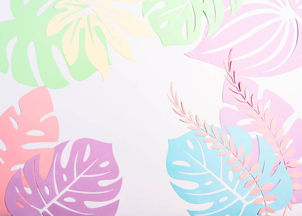 istock Paper tropical leaves, monstera, palm, white background. Space for text 1303877389