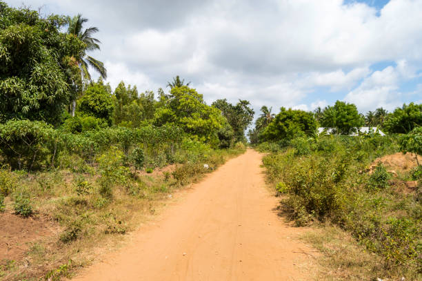 istock Dirt road in the countryside 1303879904