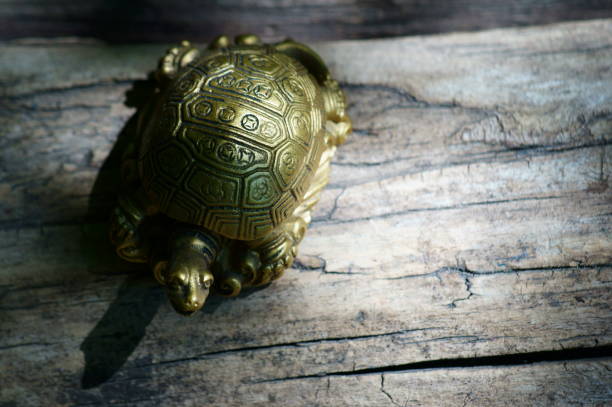 istock Metal turtle on a wooden background. 1303884164