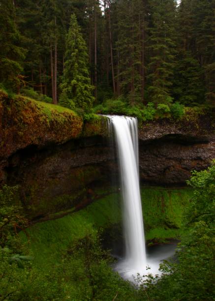 istock South Falls in Silver Falls State Park in Oregon 1303884702