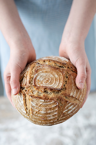 High angle view of a baker proudly holding her freshly baked sourdough round loaf. Sourdough bread is known for its characteristic flavour because  it does not use a conventional yeast as a rising agent, instead a fermented culture of flour and water is used. The resultant bread has a chewy texture and a crisp crust. Colour, vertical format with some copy space.