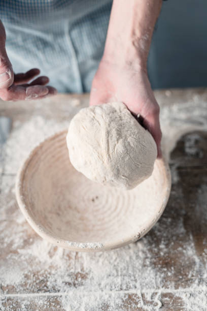 Baker working the sourdough before it is placed into proving basket prior to baking. Sourdough bread is known for its characteristic flavour because  it does not use a conventional yeast as a rising agent, instead a fermented culture of flour and water is used. The resultant bread has a chewy texture and a crisp crust. Colour, vertical format with some copy space.
