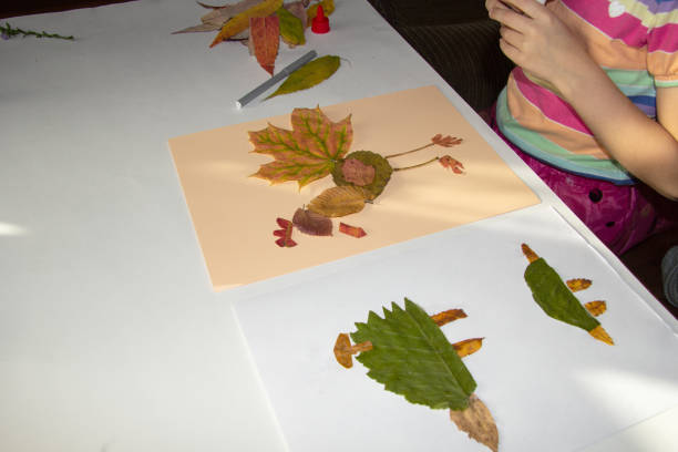 a criança faz artesanato a partir de folhas secas de outono e cola-as em um pedaço de papel. - child autumn craft preschooler - fotografias e filmes do acervo