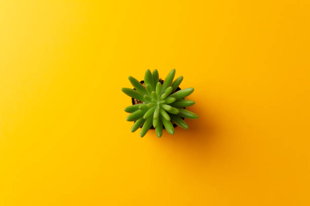 istock Top view of the workspace on yellow background 1303902978