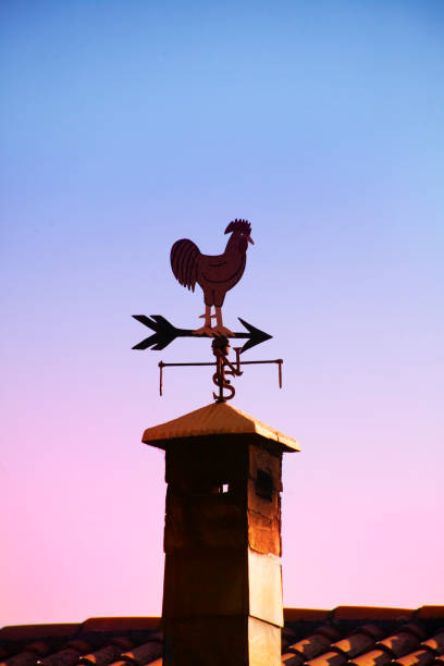 weather vane in rooster shape, sunset background. - roof roof tile rooster weather vane imagens e fotografias de stock