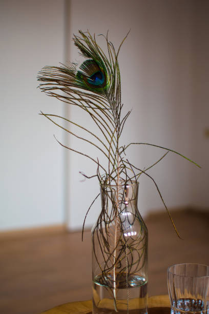istock Peacock feather in glass bottle 1303905451