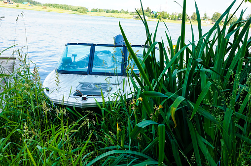 motor boat, a boat in the reeds at the pier on a summer day