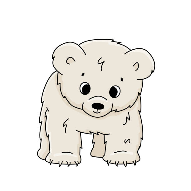 vector cute cartoon little polar bear cub stoi na wszystkich nogach i patrzy w dół. zarys zwierzę jest izolowane na białym tle. widok z przodu - polar bear young animal cub isolated stock illustrations