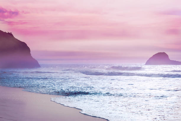 zachód słońca na plaży w mendocino - mendocino county northern california california coastline zdjęcia i obrazy z banku zdjęć
