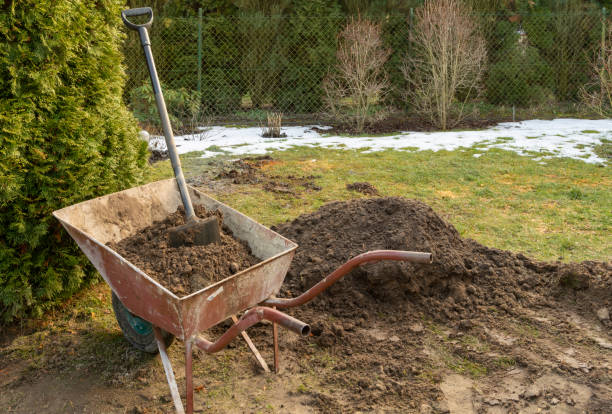 istock Spring cleaning work in the garden. 1303907136