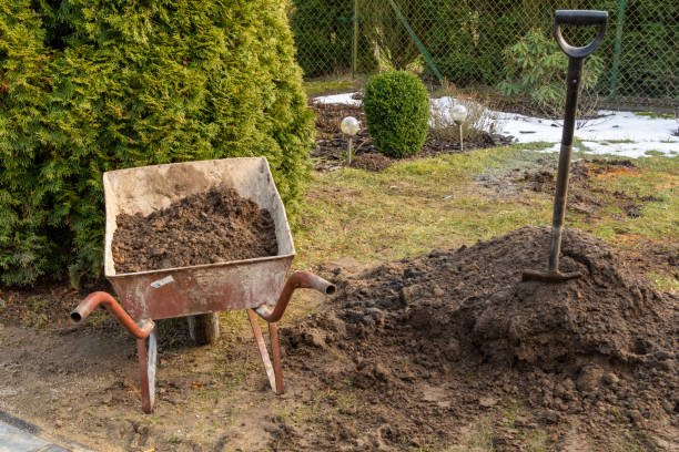 istock Spring cleaning work in the garden. 1303907148