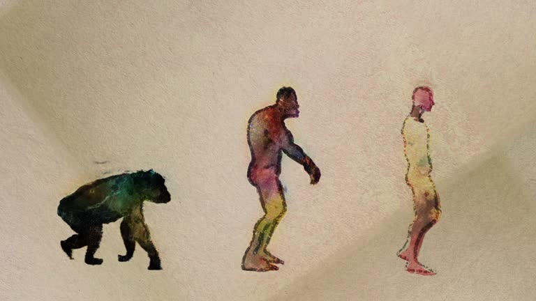 Human Evolution Main Stages Timeline Painting Style Seamless Loop