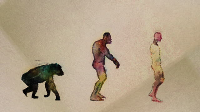 30,895 Human Evolution Stock Videos and Royalty-Free Footage - iStock | Human  evolution stages, Human evolution concept, Human evolution illustration