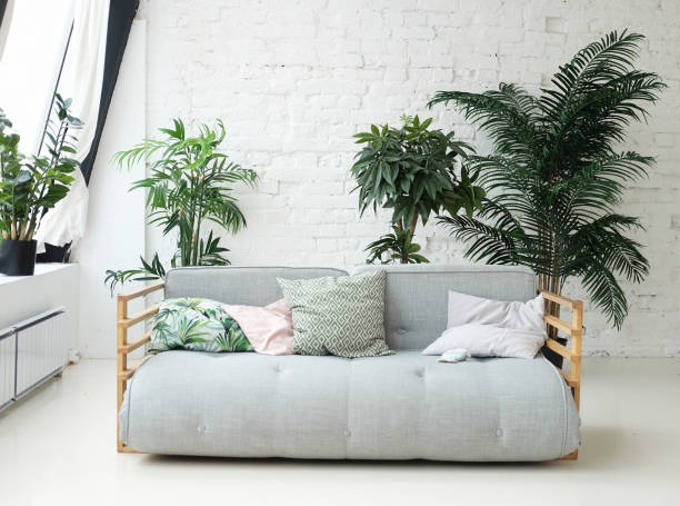 istock grey sofa in the room next to the flowers 1303912928