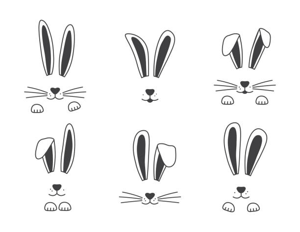 illustrations, cliparts, dessins animés et icônes de main de lapin vectorielle de pâques tirée, visage des lapins. oreilles et museau avec moustaches, pattes. illustration animale - oreilles de lapin