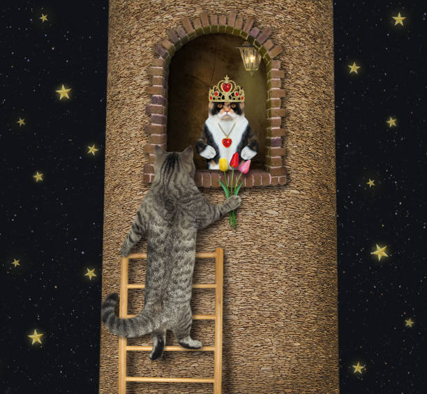 istock Cat gray with tulips climbs ladder 1303916284